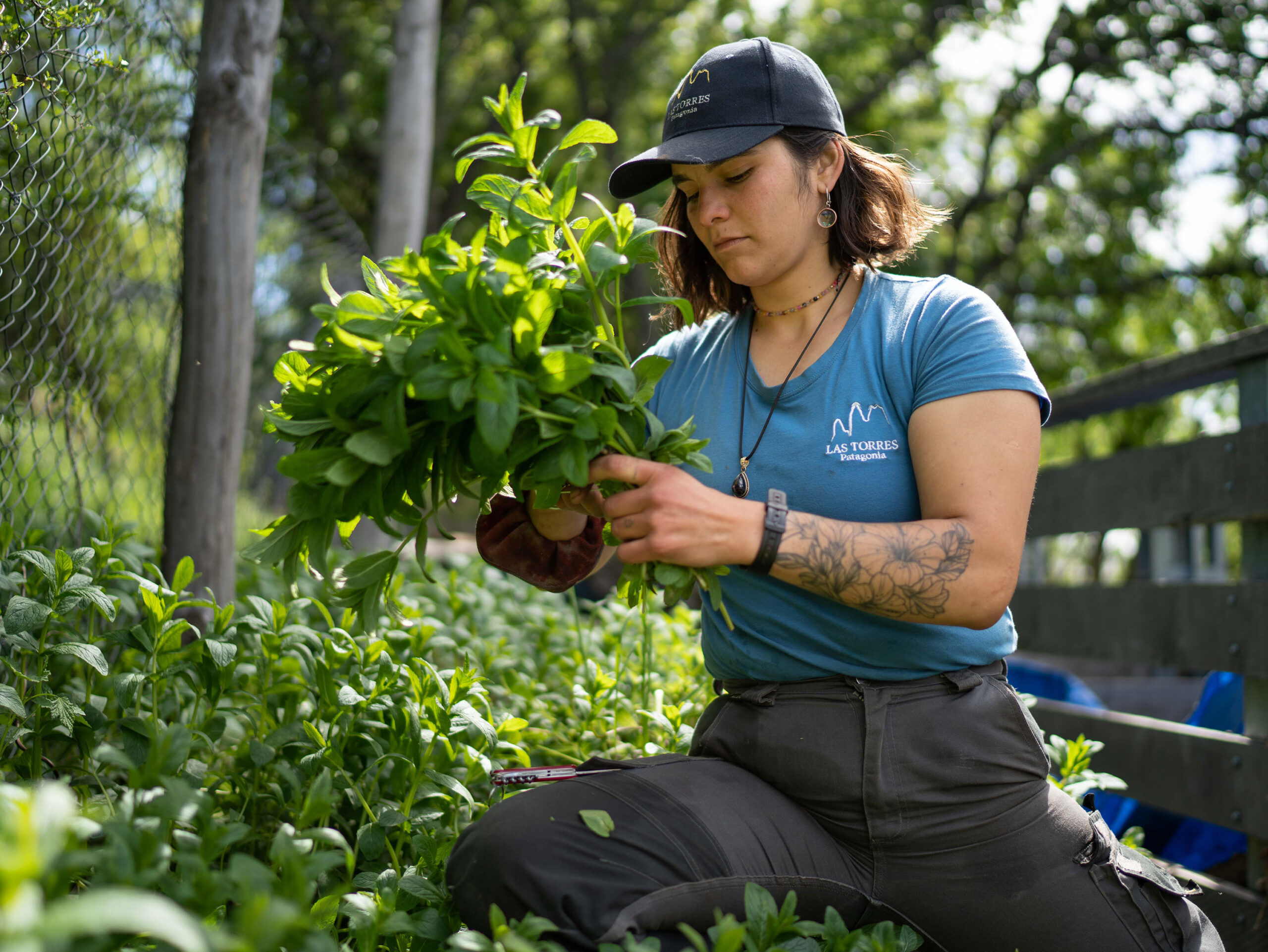 icon Landing de Sostentabilidad